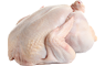 Gevogelte