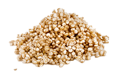 Quinoa