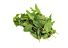 Mint per bos