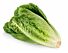 Sla Romaine per DOOS X10