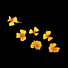 !Anise blossom per DOOS 2x50g