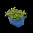 Cress Atsina per bakje