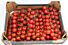 Cherry tros (Amori) per DOOS 3KG