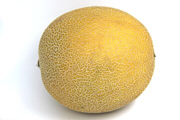 Meloen galia per stuk