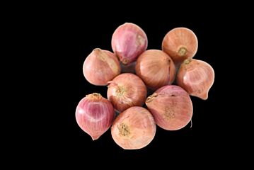 Sjalotten (rond) per kg