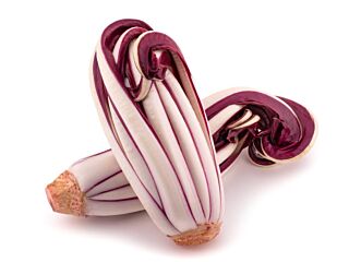 Radicchio TARDIVO per DOOS 1KG