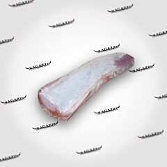 Varkensfilet heel ca.3,5kg