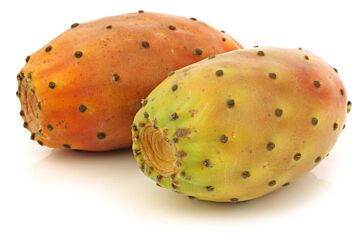 Cactusvijgen per stuk