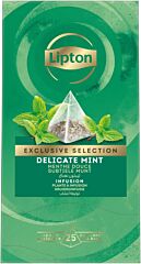 Lipton ex.sel.tea subtiele munt