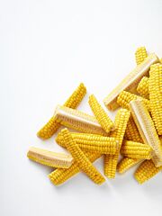 Ardo cornribs 4x2,5kg