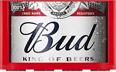 Bud 5% fles 33cl