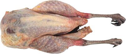 Fazant hen heel ca.700g