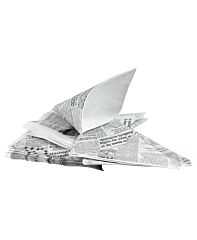 Puntzak k21 newspaper