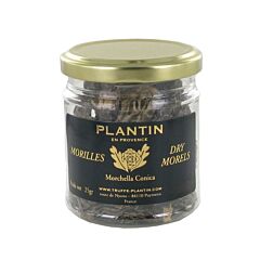 Plantin morilles gedroogd z.steel
