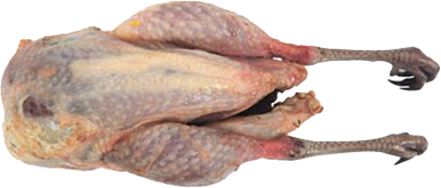 Fazant hen heel ca.700g