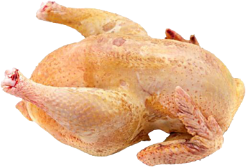 Piepkuiken poussin ca.475g