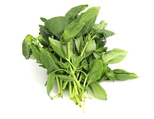 Basilicum per bos