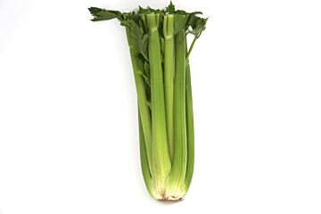 Bleekselderij per stuk