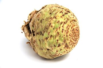 Knolselderij per stuk