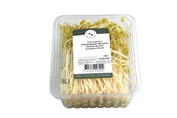 Asperge scheuten per bakje