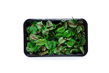 !Zuring  per bakje