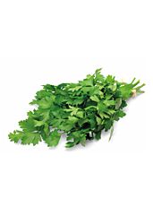 Peterselie BLAD per bos