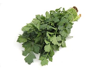 Selderieblad per bos