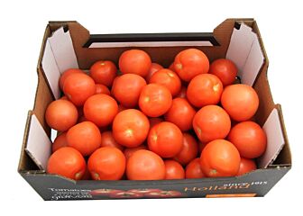 Tomaten per DOOS 6KG