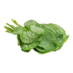 !Syrha leaves per DOOS 2x25st