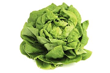 Sla hollandse per stuk