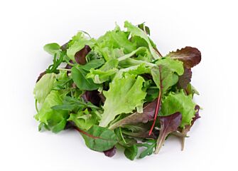 Mesclume sla per bakje
