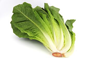 Sla Romaine per stuk