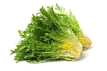 Sla Frisee per KIST X10