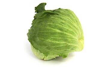 Sla ijsberg per stuk