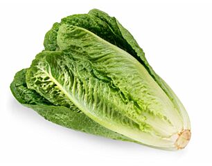 Sla Romaine per DOOS X10