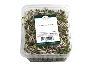 China rose per bakje