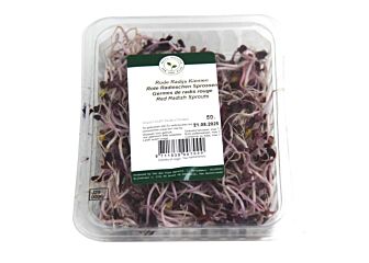 Rode radijs scheuten per bakje