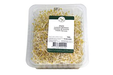 Alfalfa per bakje