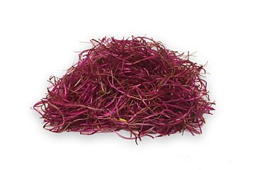 Bieten scheuten per bakje