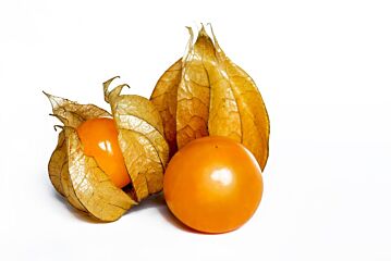 Physalis per bakje