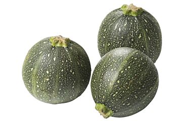 BOL Courgette per stuk
