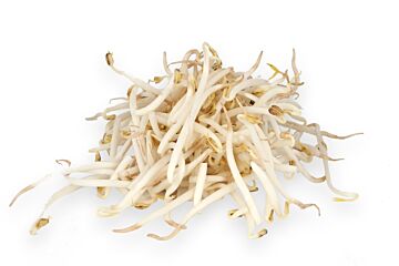 Tauge per ZAK 500g