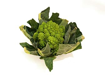 Romanesco per stuk