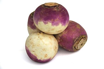 Meirapen (knol) per kg