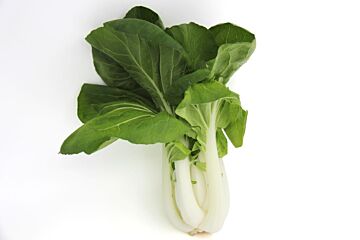 Paksoi per stuk