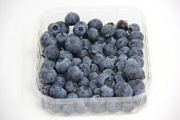 Blauwe bessen per bakje