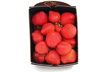 Aardbeien per bakje 500g