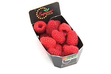 Frambozen per bakje