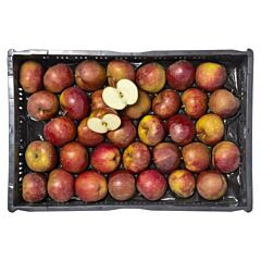 Appel Goudreinetten per KIST 11KG