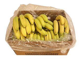 Bananen per DOOS 18KG